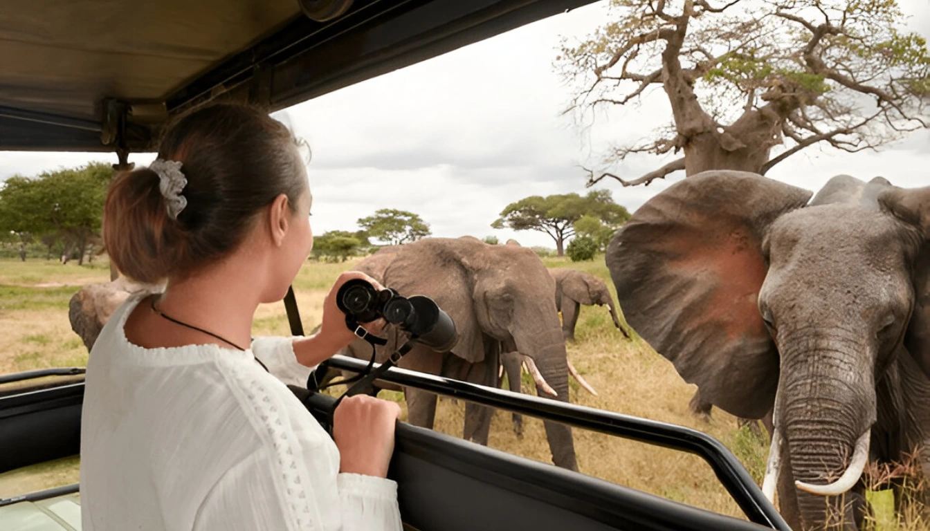 6 parcs nationaux à explorer en Afrique du Sud